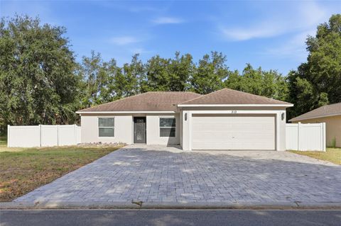 Photo of 313 Foggy Creek Road, Davenport, FL 33837 (MLS # TB8511704)