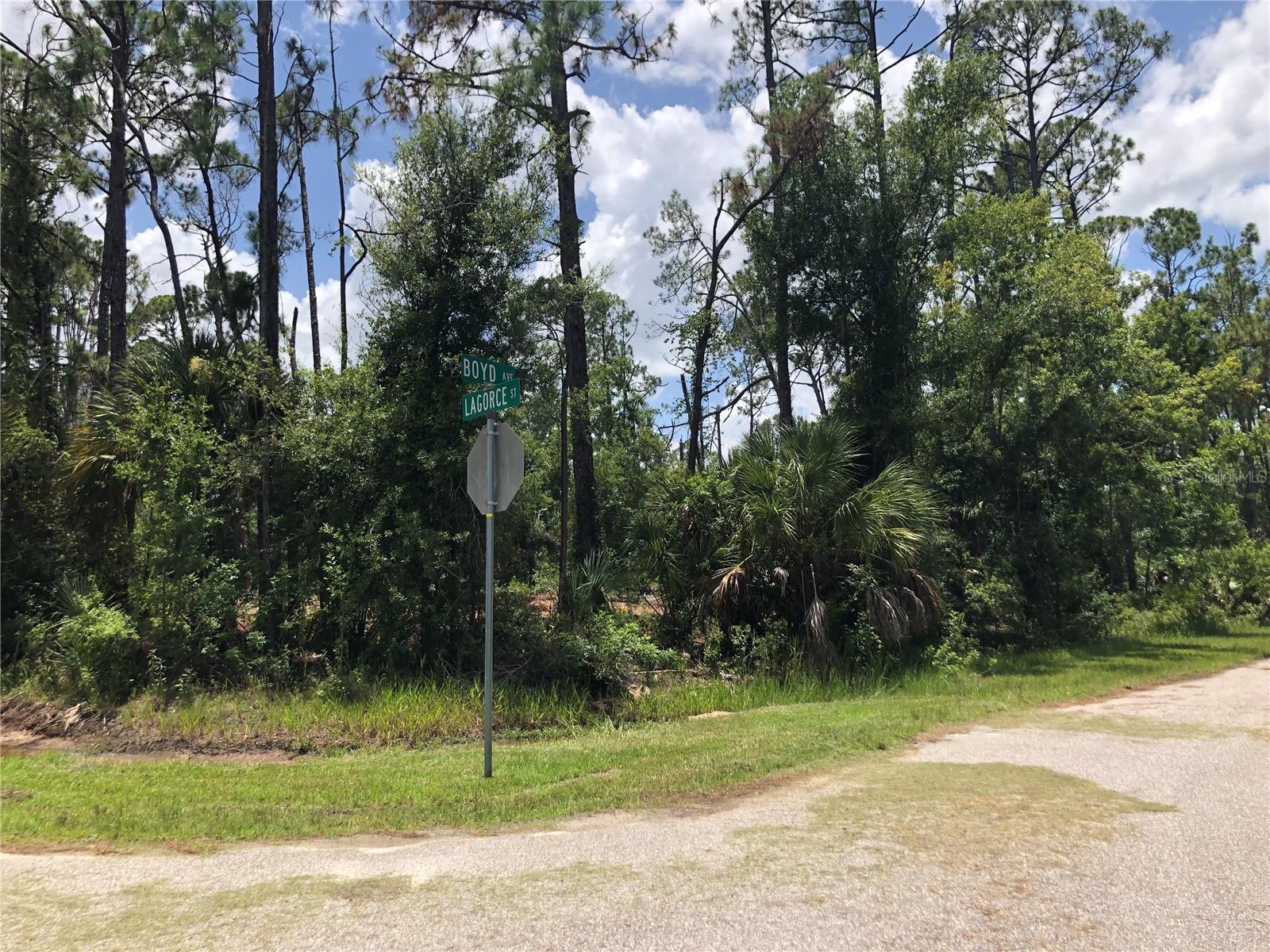 No deed restrictions or HOA fees. Build your dream home, or use your property as an investment. If you like country living, but want to be close to stores, restaurants, schools, this is the place for you. Live in North Port, and work in Sarasota. Choice of beaches, golf, fishing, public boat ramps, hospitals, home of the Braves spring training, and much more; all within a half-hour drive. This lot is not heavily treed, and has a couple of open areas/paths, to check it out further. Retirement at its best!