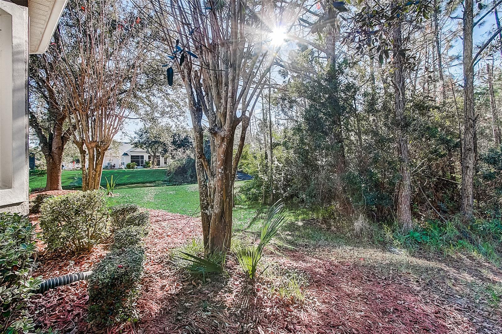 Gray Hawk At Lpga Interntional - Residential