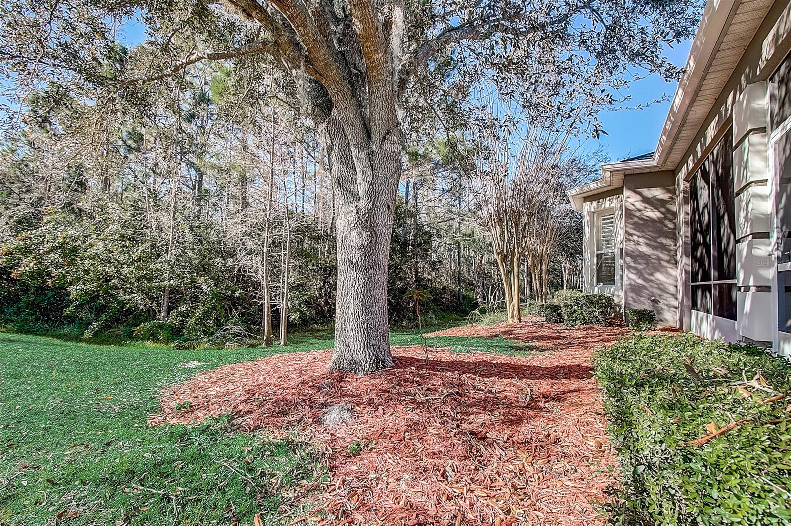 Gray Hawk At Lpga Interntional - Residential