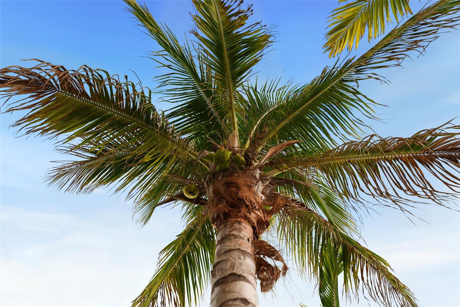 BRUNSON-DOWELL SUB 1 - Residential