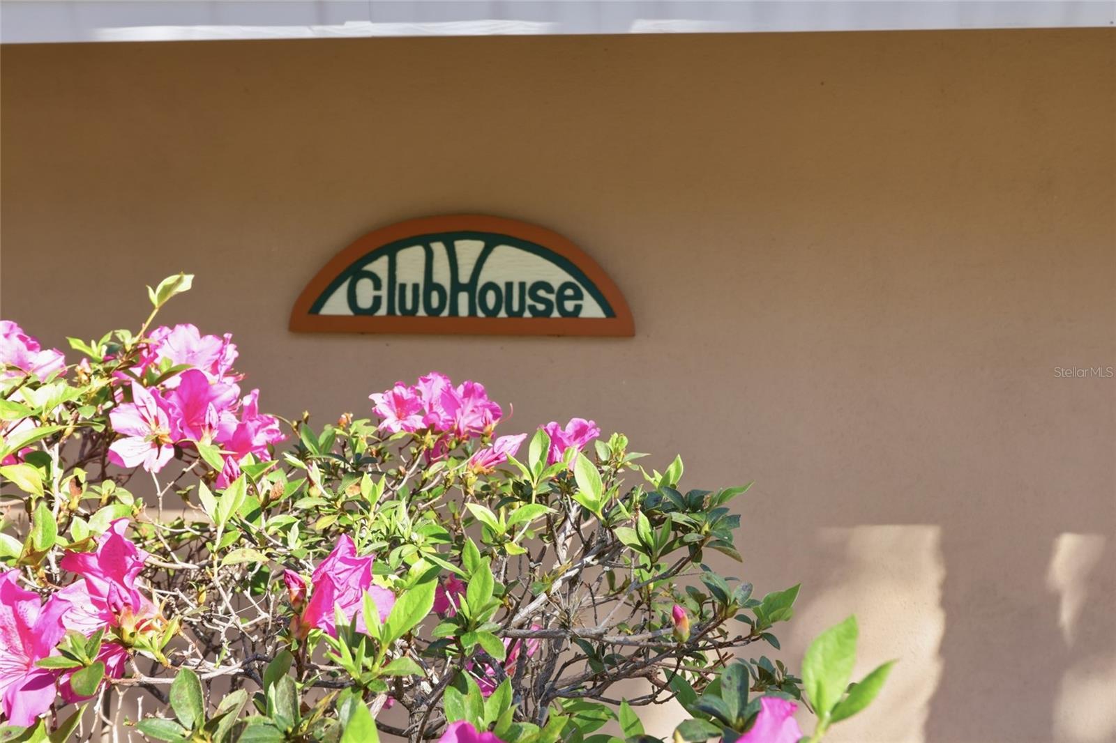 VILLAGE GARDENS PH 2 - Residential