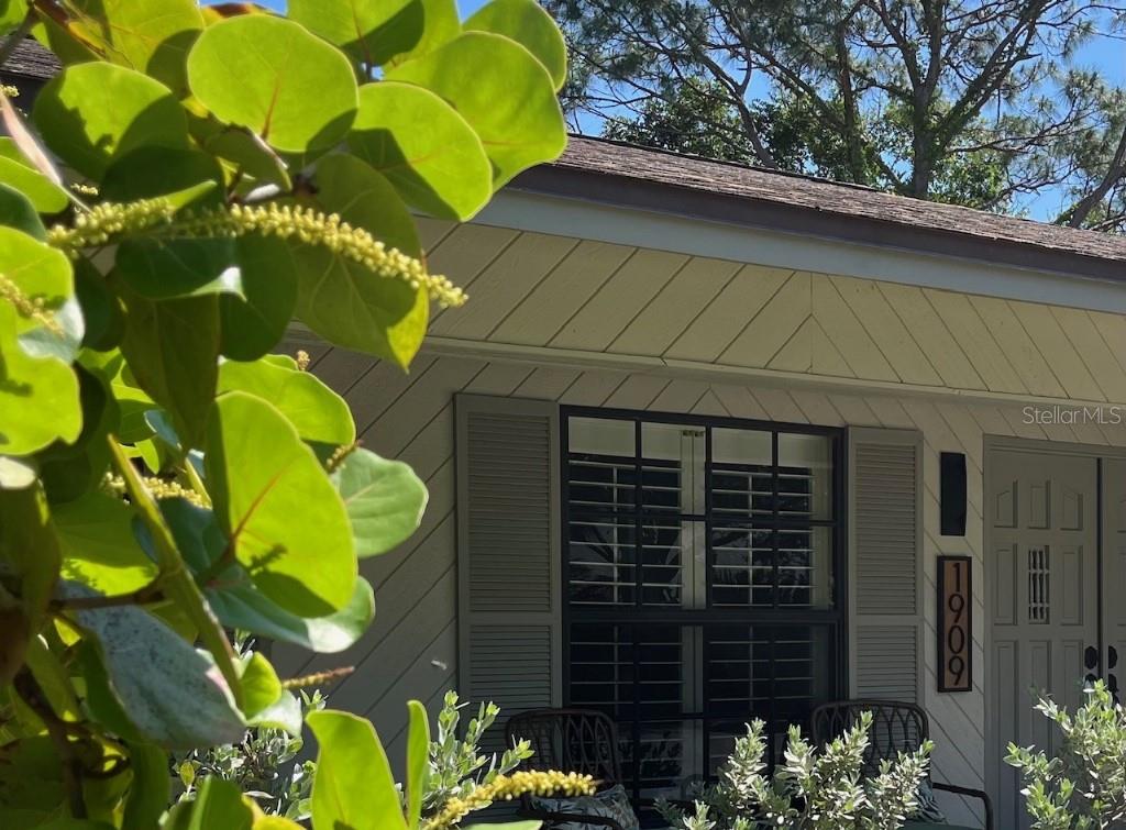 MEADOWS THE - Residential