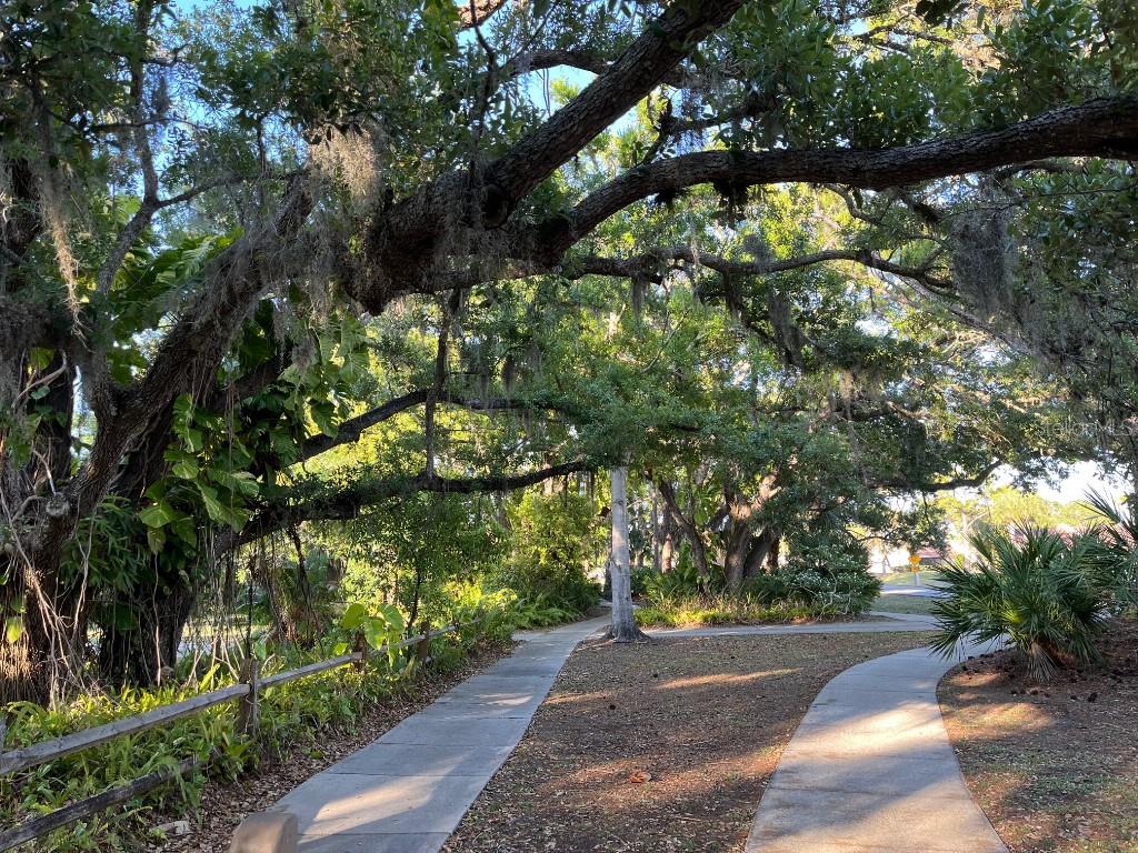 MEADOWS THE - Residential