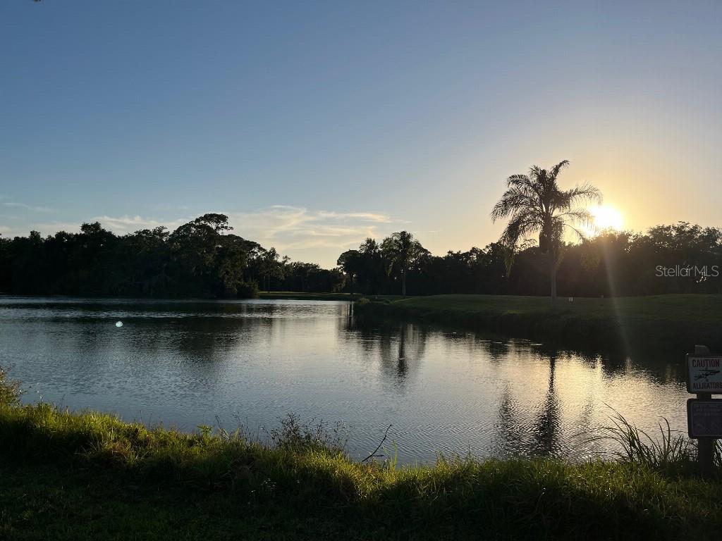 MEADOWS THE - Residential