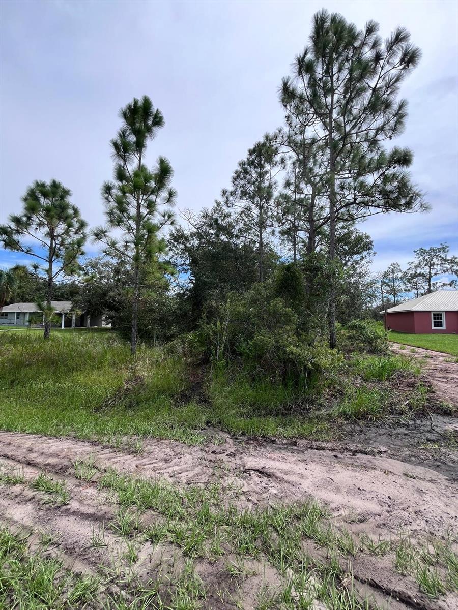 INDIAN LAKE ESTATES - Land