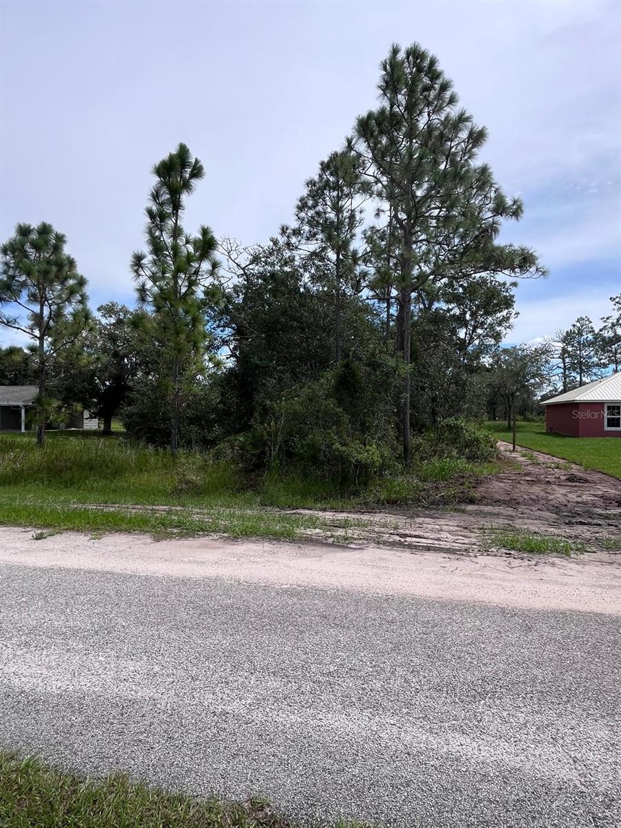 INDIAN LAKE ESTATES - Land