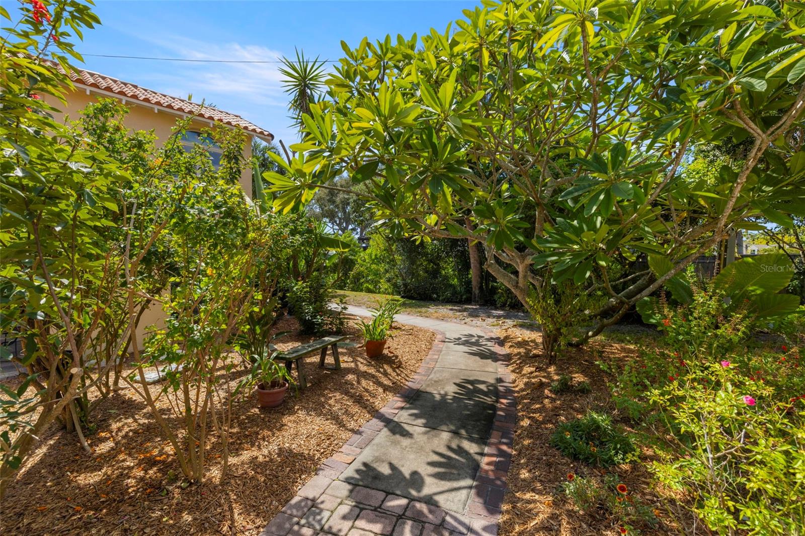 POINT PINELLAS REP - Residential