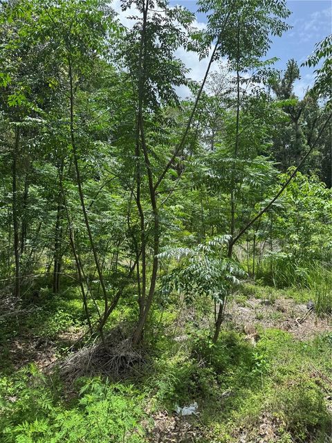 00 SE 61ST COURT SUMMERFIELD FL 34491
