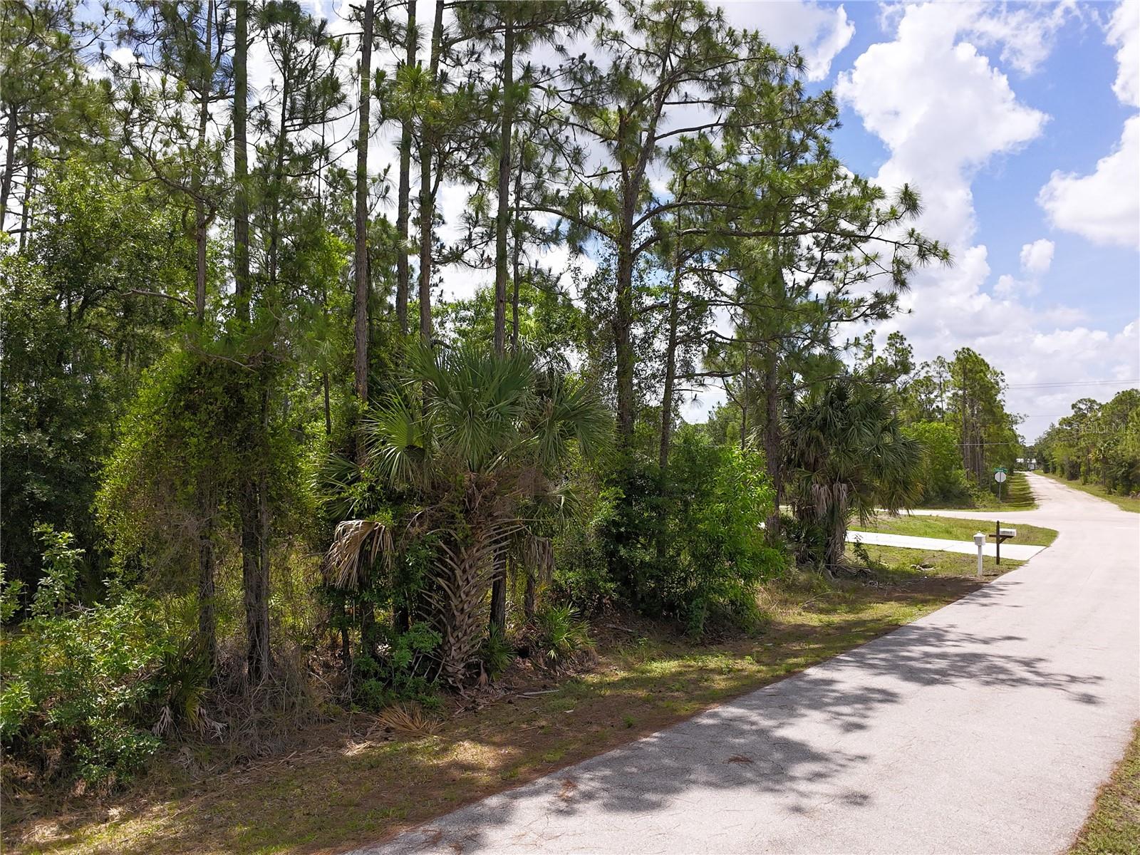 12262 RIPPLE DRIVE