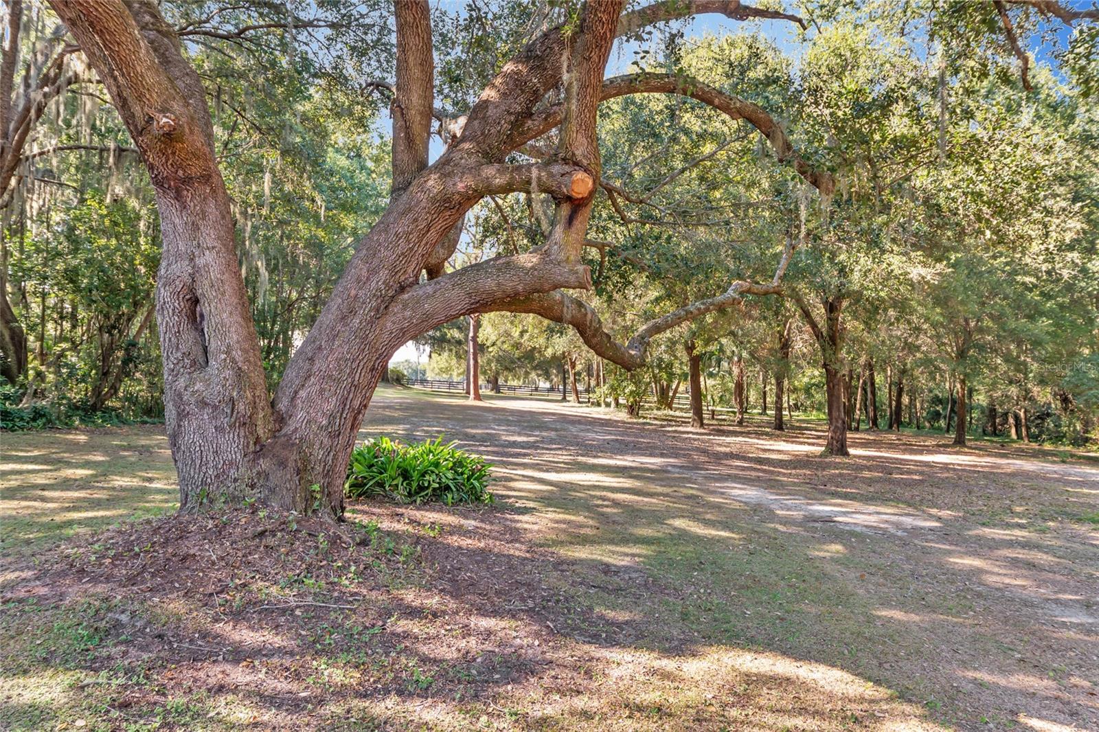 STANTON - Residential