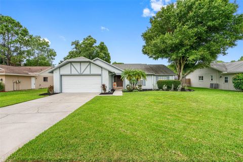 A home in TAMPA