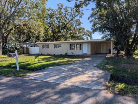 A home in PLANT CITY