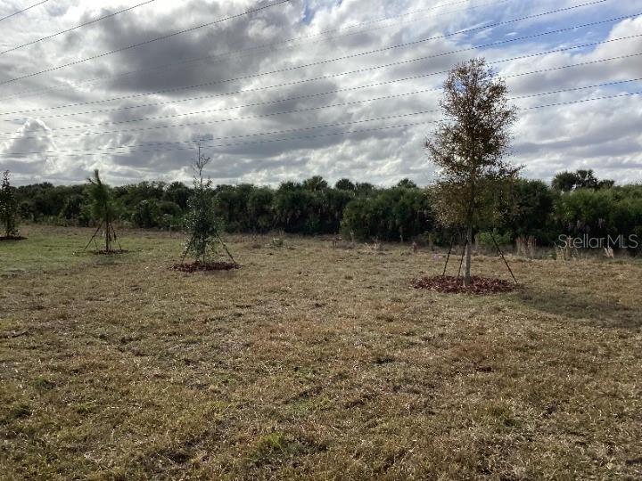 CATAMARAN COVE PHASE I & II - Residential