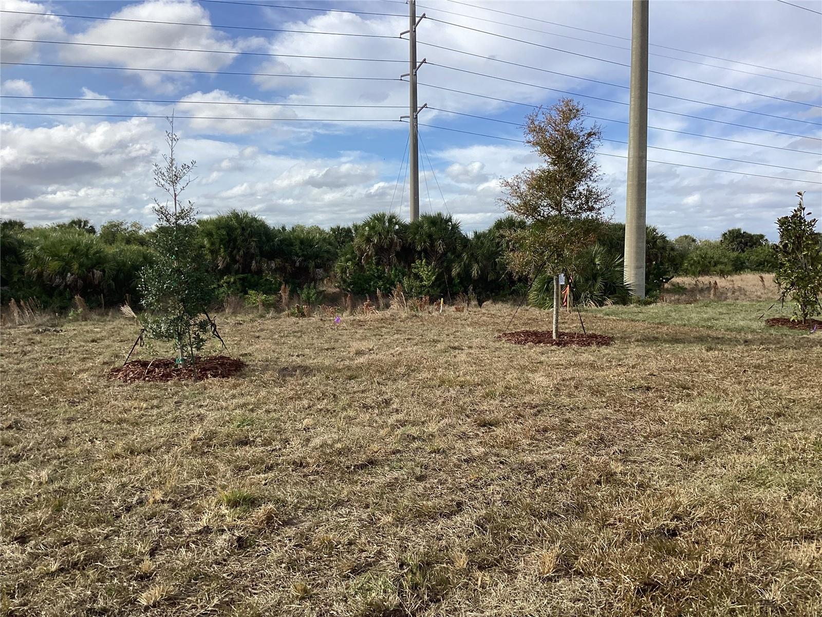 CATAMARAN COVE PHASE I & II - Residential