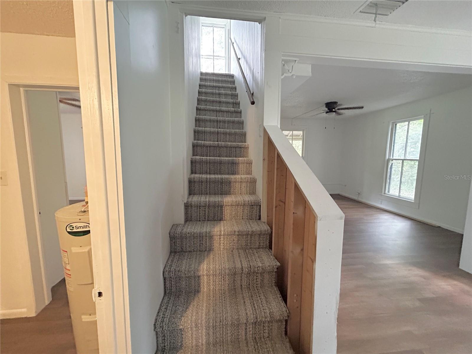 LADY LAKE ROSEMARY TERRACE - Residential