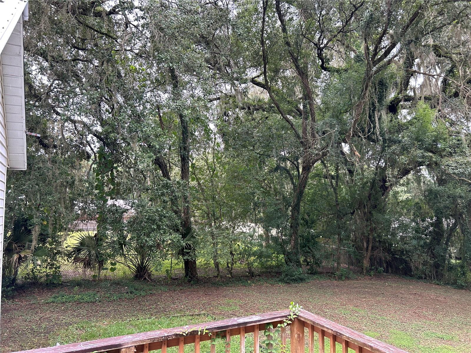 LADY LAKE ROSEMARY TERRACE - Residential