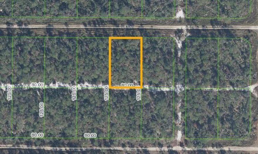 Great ¼ acre LOT in Sebring nice lot in a private location. 80 x 125 feet. Lowest priced lot in the neighborhood for this sized lot. Near Lake Jackson, shopping, and medical facilities. Priced to sell. Easy access to major highways and parks. Grab them before the builders get wind of this nice quiet area. Build your dream home and enjoy the Florida life. Also great for self-directed IRAs, 401Ks and other investment portfolios. Enjoyment of the abundance of Florida’s natural resources and low tax rates.