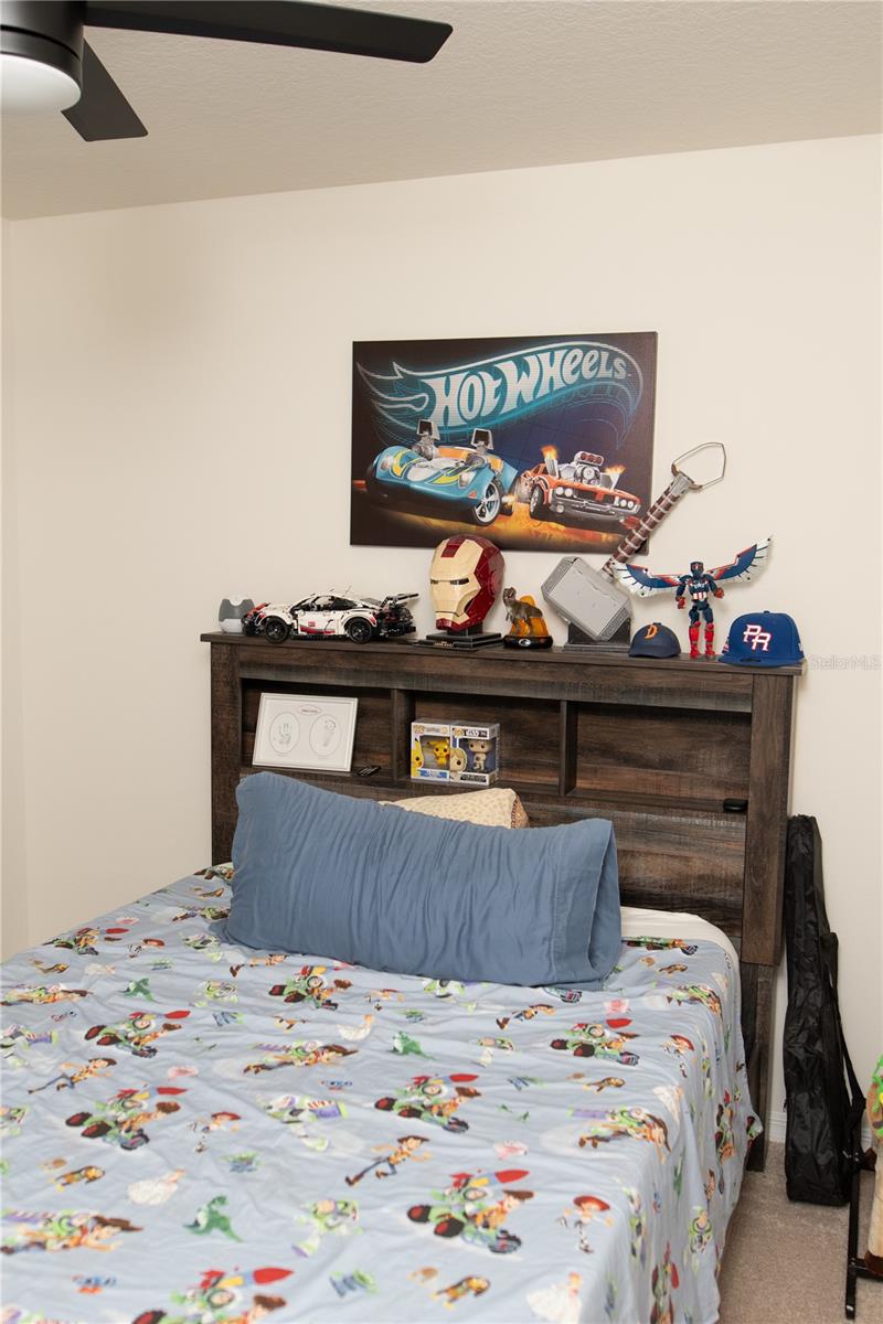 SOUTH BRANCH PRESERVE PH 2B & 3B - Residential