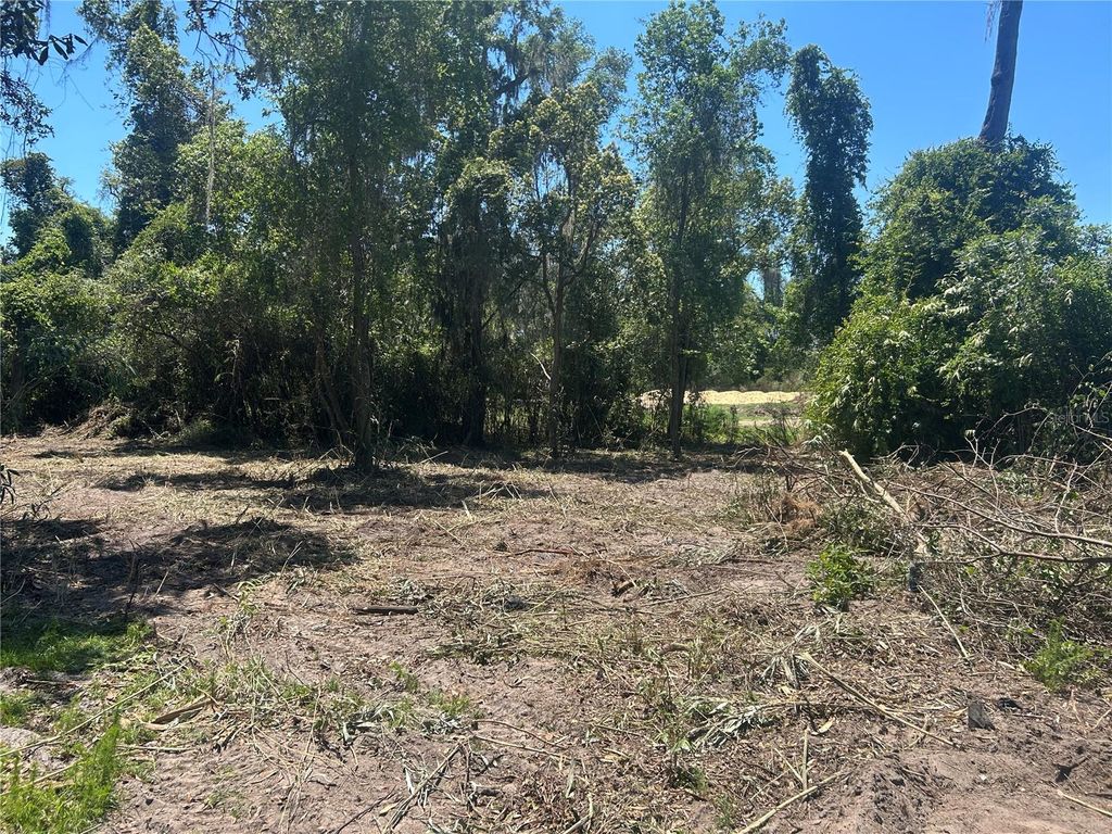Photo of 4724 SW 63rd Boulevard, Gainesville, FL 32608 (MLS # GC541894)