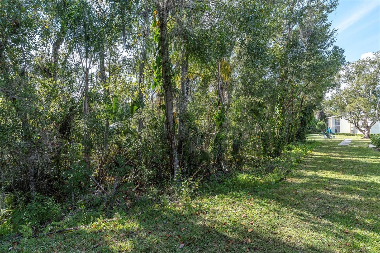PINE RIDGE AT LAKE TARPON VILLAGE - Residential