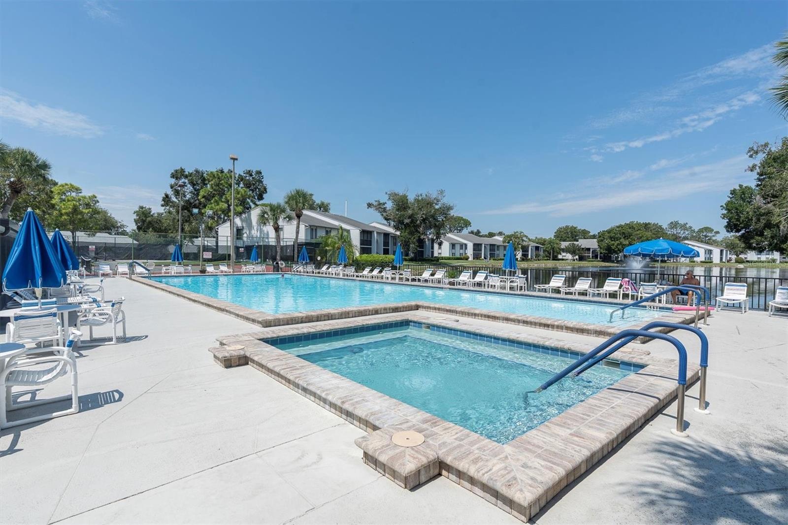 PINE RIDGE AT LAKE TARPON VILLAGE - Residential