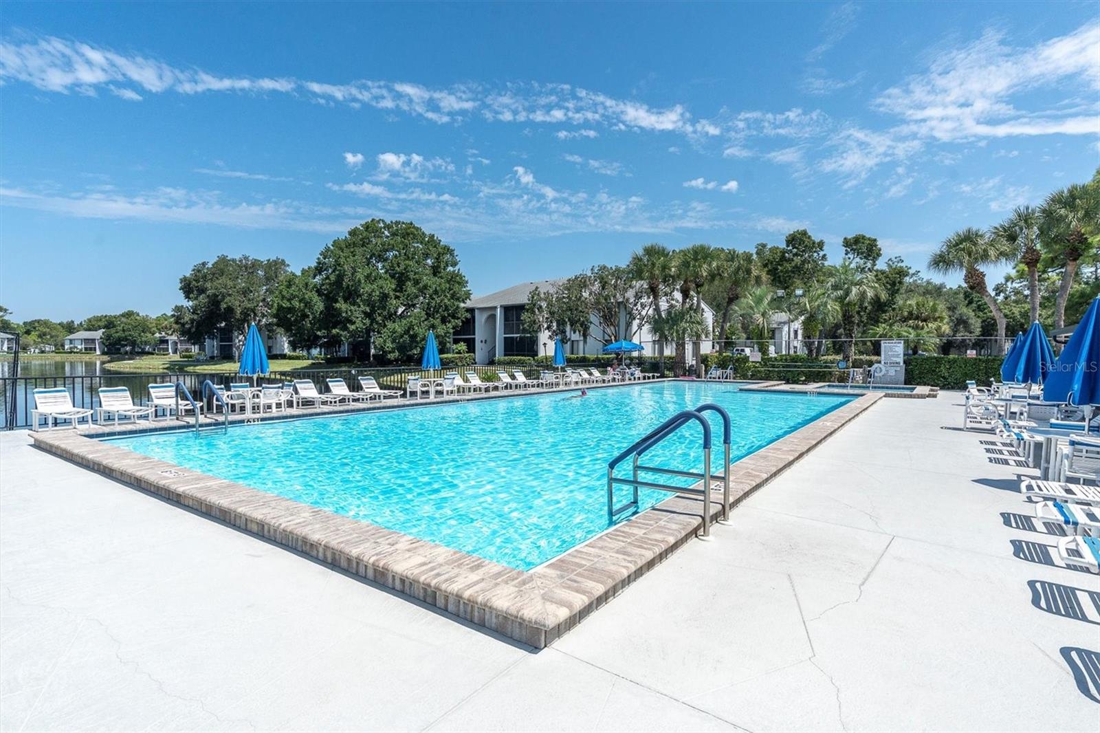 PINE RIDGE AT LAKE TARPON VILLAGE - Residential