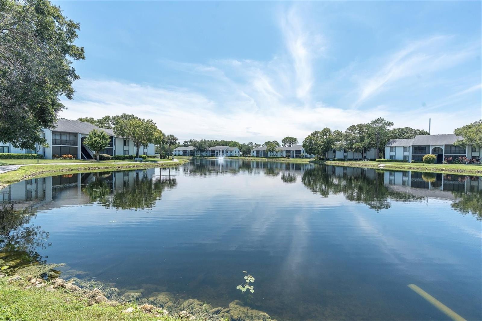PINE RIDGE AT LAKE TARPON VILLAGE - Residential