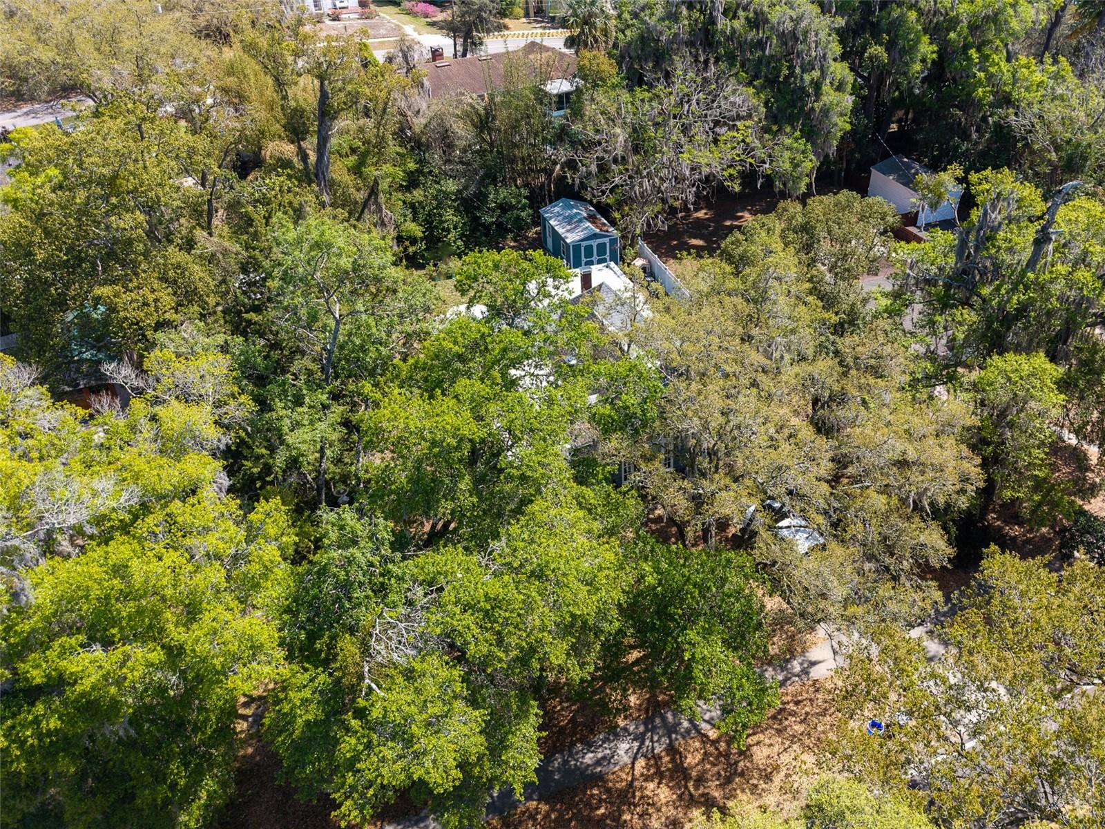 UNIVERSITY TERRACE DELAND - Residential