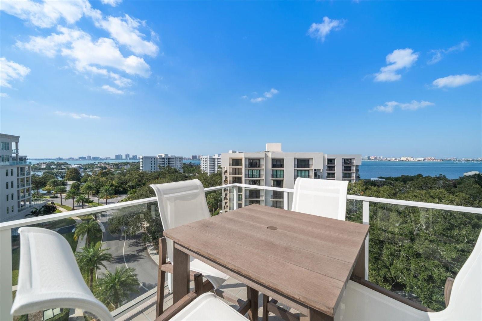 RESIDENCES AT BELLEVIEW PLACE CONDO - Residential