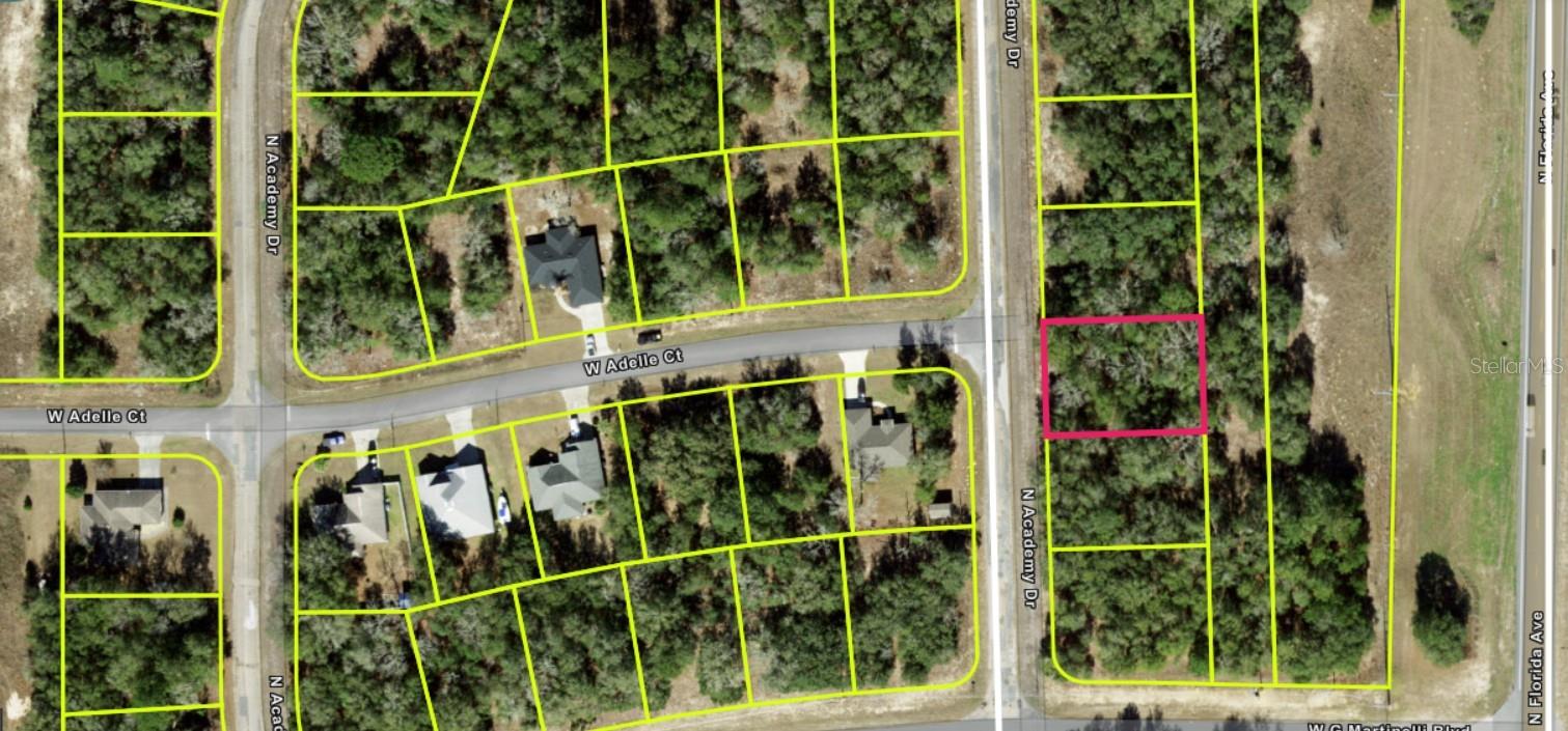 Discover the perfect spot to build your dream home or invest in Florida land! Located in a peaceful residential neighborhood off US-41, it offers the best of both privacy and convenience, in Citrus County with no HOA and no deed restrictions, this property provides the freedom to create your ideal lifestyle whether it's a custom home, a seasonal retreat, or an investment for the future. Capitalize on the tranquility of suburban living this parcel offers with a peaceful, wooded setting and paved road access while just a short drive from shopping, restaurants, medical facilities, freshwater springs and the beautiful Rainbow River. You are never far from modern amenities or outdoor adventures like fishing, boating, golfing and hiking. Don't miss this chance to own a slice of Rea Life Florida paradise before everyone finds this hidden gem and prices increase—call to secure your future today!