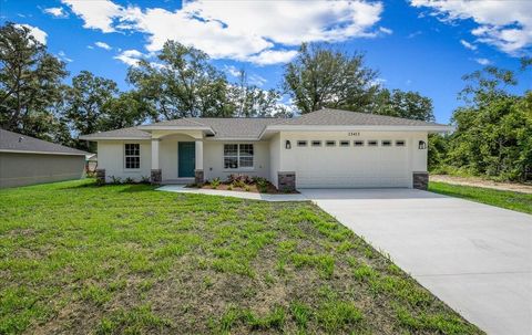 13413 SE 101ST TERRACE BELLEVIEW FL 34420