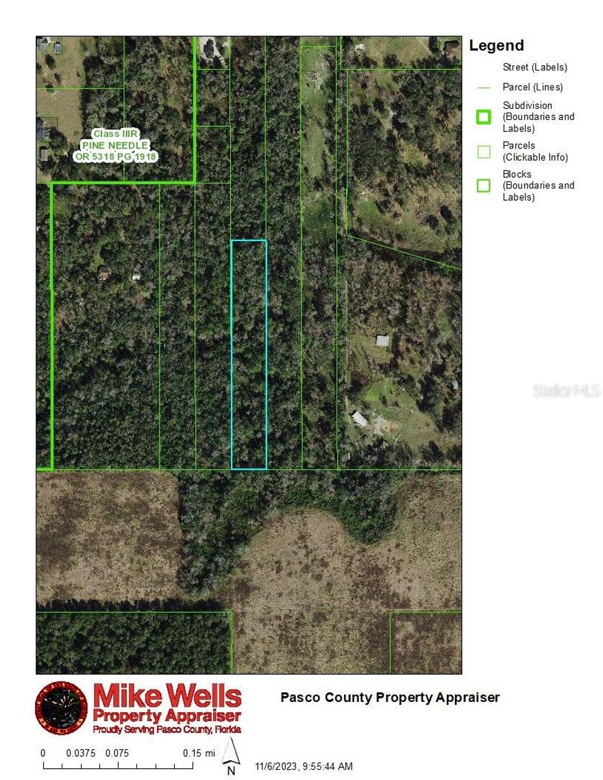 Beautiful, private 4 acre wooded parcel with ingress/egress right of way to Penny Lane.  Beautiful area of Dade City with newer developments in area that are highly sought after.