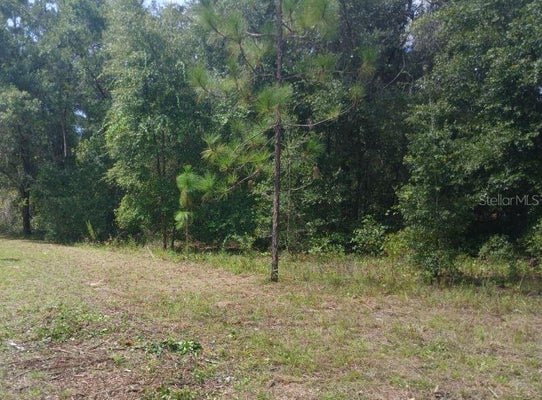 ADDRESS PRIVATE, OCALA, FL 34482 - Image 8302eecbd9caaf895ace36cf43ca324b/2957440103