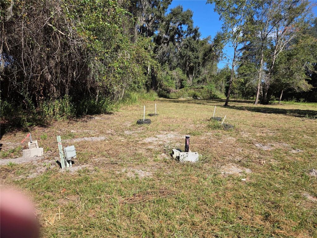 Photo of 3199 168th Street, Wellborn, FL 32094 (MLS # TB8440722)