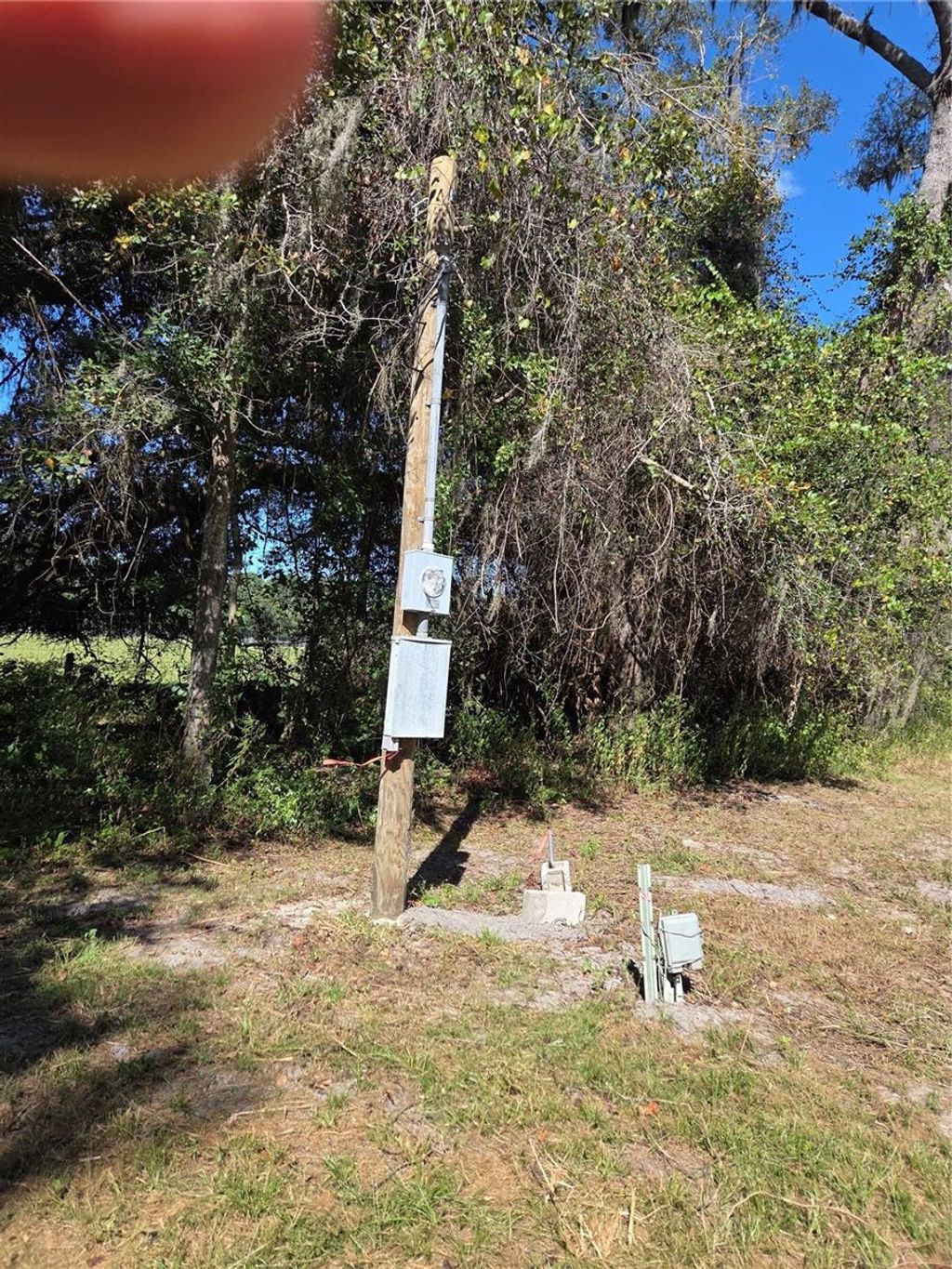 Photo of 3199 168th Street, Wellborn, FL 32094 (MLS # TB8440722)