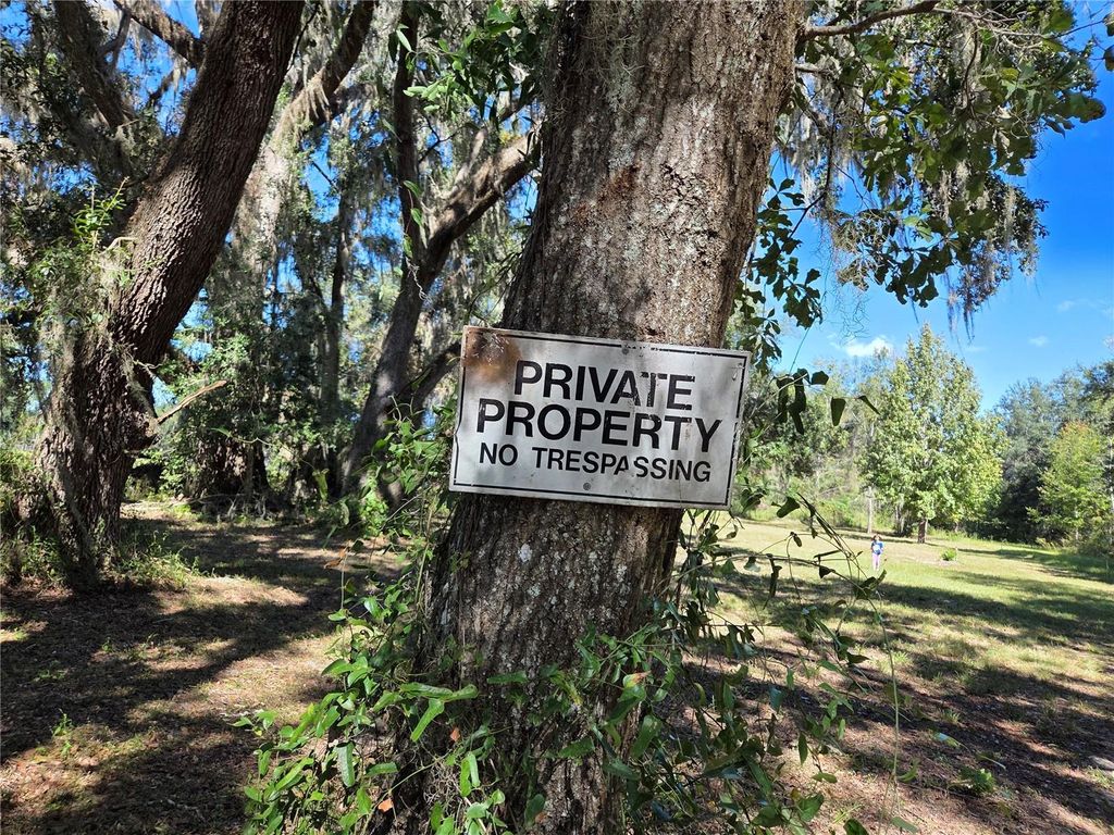 Photo of 3199 168th Street, Wellborn, FL 32094 (MLS # TB8440722)