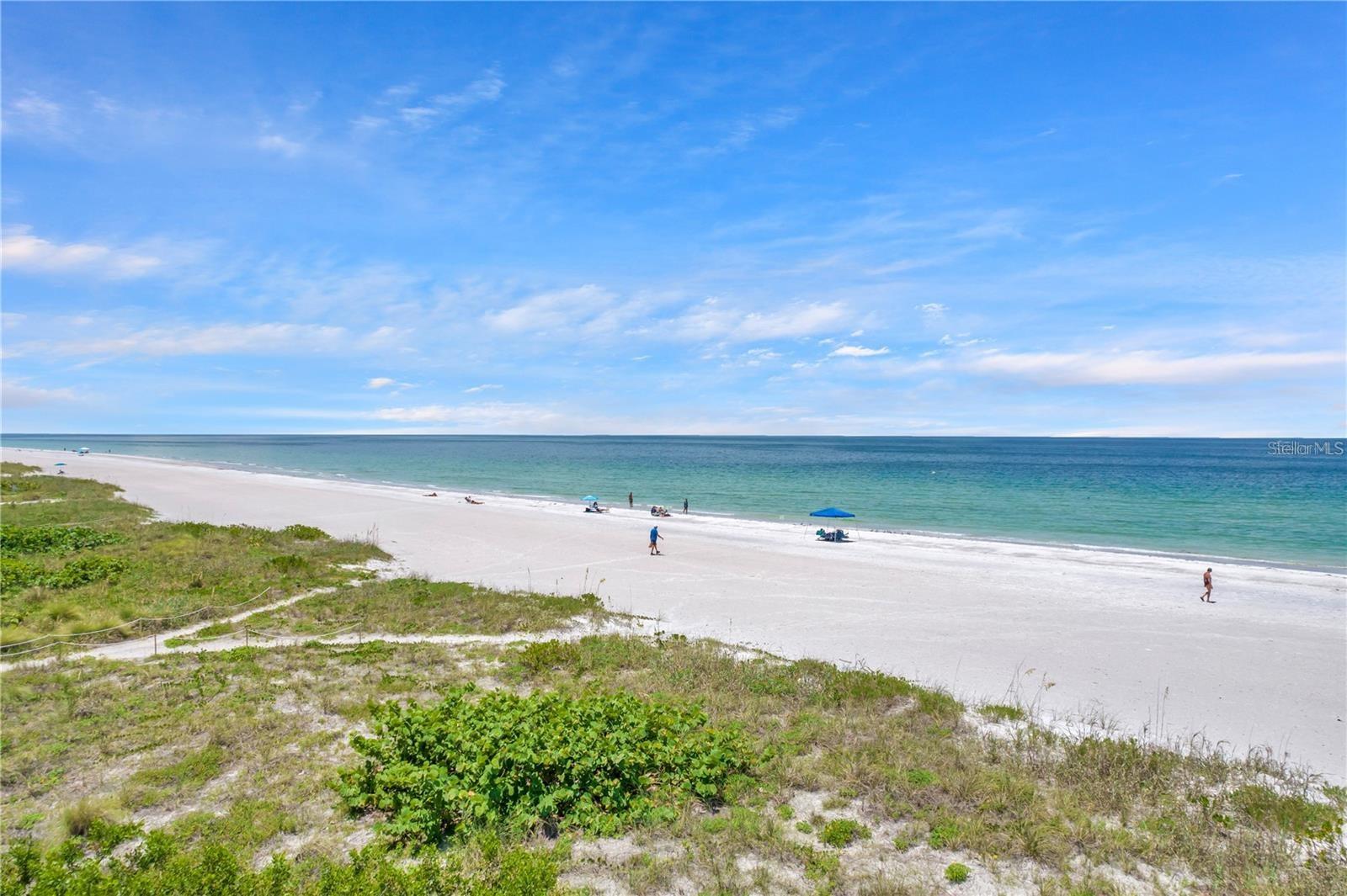 SAND KEY CONDO-SOUTH BEACH - Residential