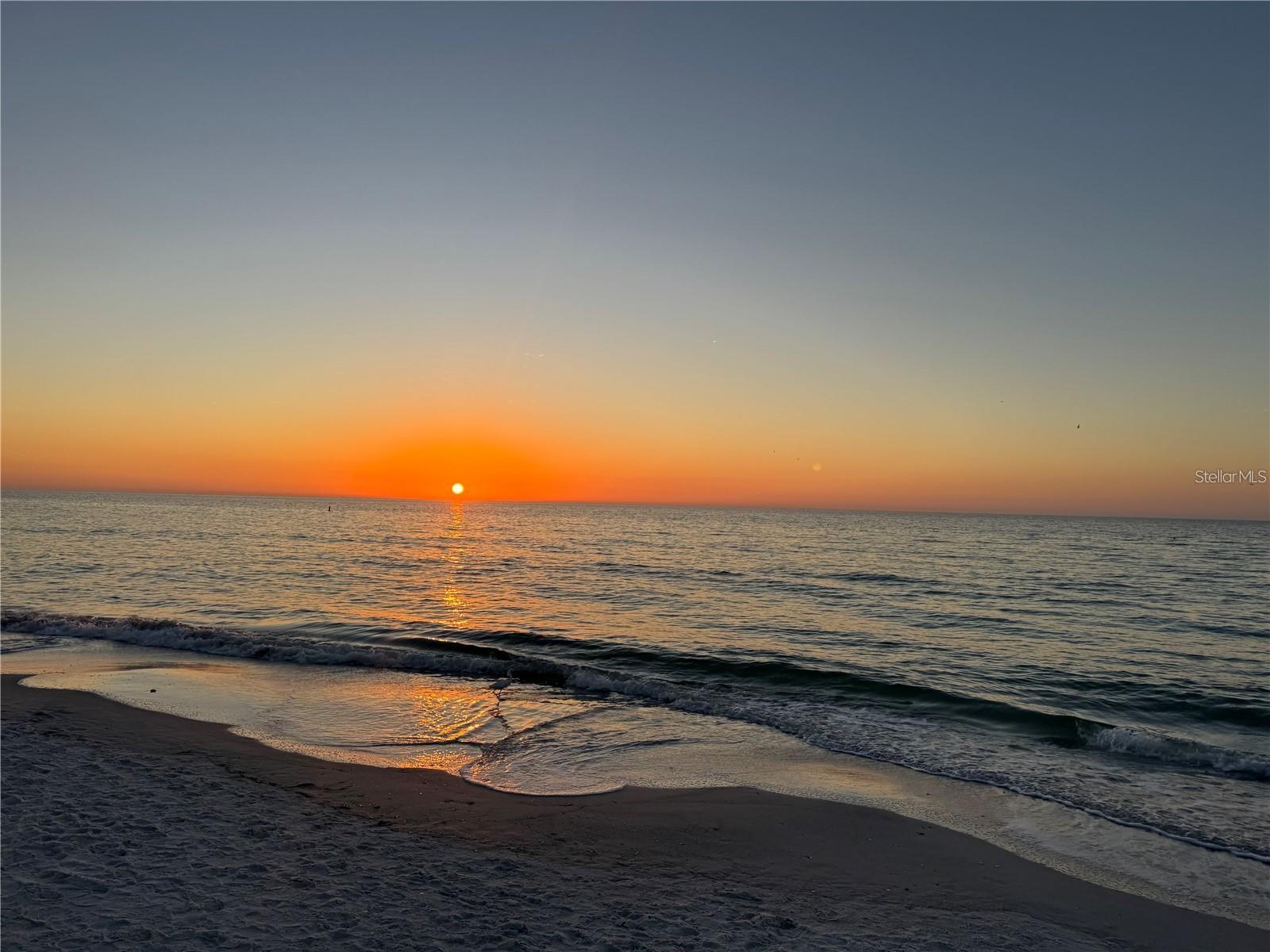 SAND KEY CONDO-SOUTH BEACH - Residential