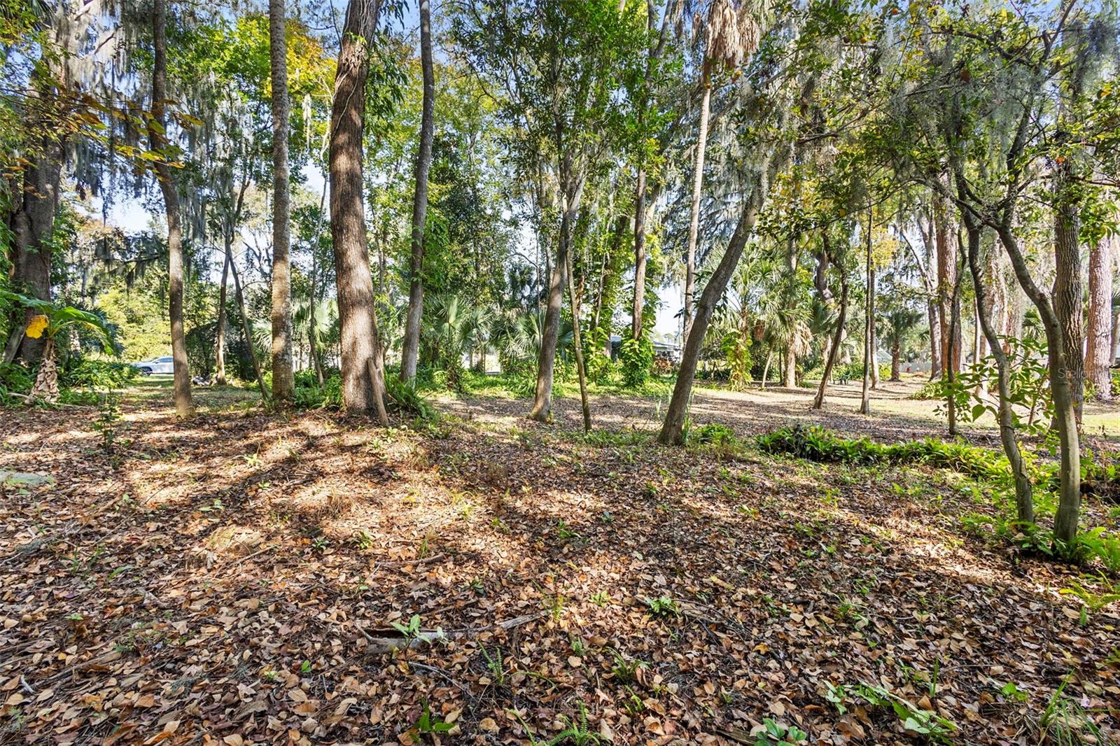 FLORIDA LAKE PARK PROPERTIES INC - Residential