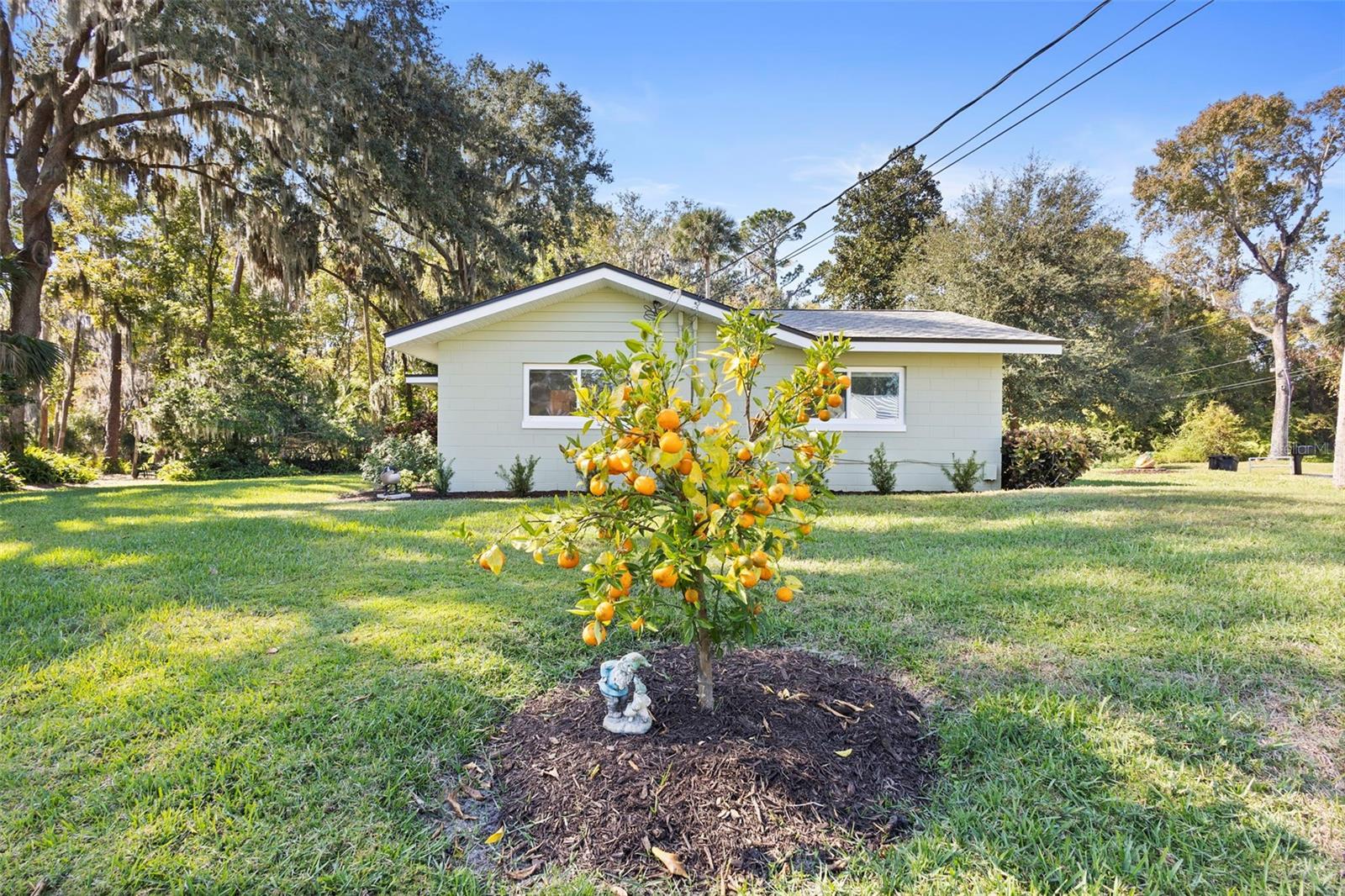 FLORIDA LAKE PARK PROPERTIES INC - Residential