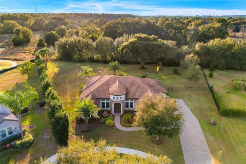 Tiny photo for 25870 Crossings Bluff Lane, Sorrento, FL 32776 (MLS # O6374251)