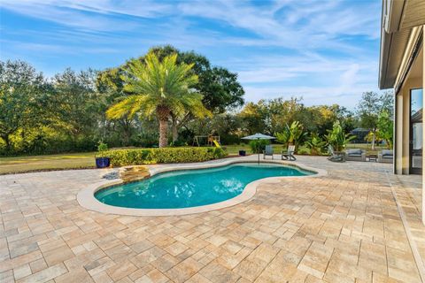 Tiny photo for 25870 Crossings Bluff Lane, Sorrento, FL 32776 (MLS # O6374251)