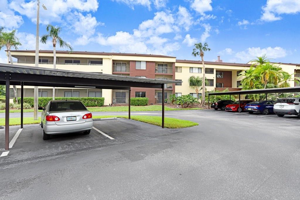 THE TOWERS AT CARROLLWOOD VILLAGE - Residential