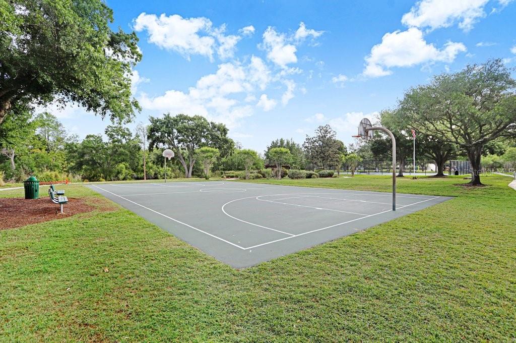 THE TOWERS AT CARROLLWOOD VILLAGE - Residential