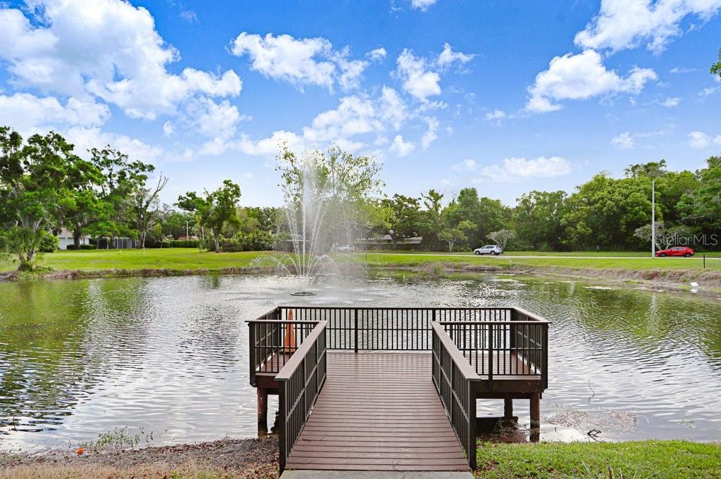 THE TOWERS AT CARROLLWOOD VILLAGE - Residential