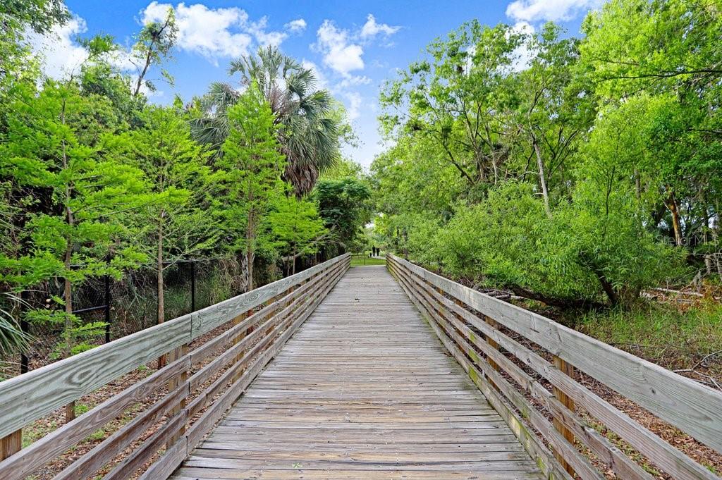 THE TOWERS AT CARROLLWOOD VILLAGE - Residential