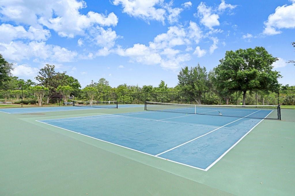 THE TOWERS AT CARROLLWOOD VILLAGE - Residential