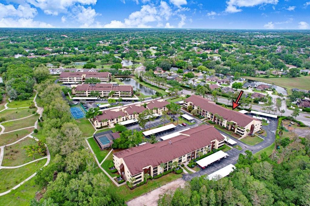 THE TOWERS AT CARROLLWOOD VILLAGE - Residential