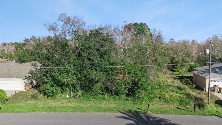 Build your vision on this .18-acre wooded lot nestled on a quiet street at 0 Palaiseau Ct in Kissimmee, FL. Surrounded by natural greenery, this vacant parcel offers a peaceful setting while still providing convenient access to nearby amenities. The rear of the property backs up to preserved land, providing added privacy and a serene natural backdrop with no rear neighbors.

Located in an established area with neighboring homes, this lot offers the perfect balance of seclusion and accessibility. Enjoy proximity to shopping, dining, schools, and major roadways, making it easy to connect to Central Florida attractions, employment centers, and outdoor recreation.

Whether you’re looking to build now or hold for future development, this property presents an excellent opportunity to own land in a growing area of Osceola County. Bring your plans and make this piece of Kissimmee your own.